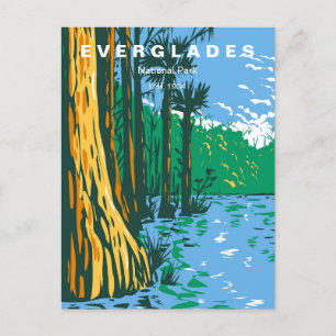 Vintage travel Everglades National Park Florida Postcard