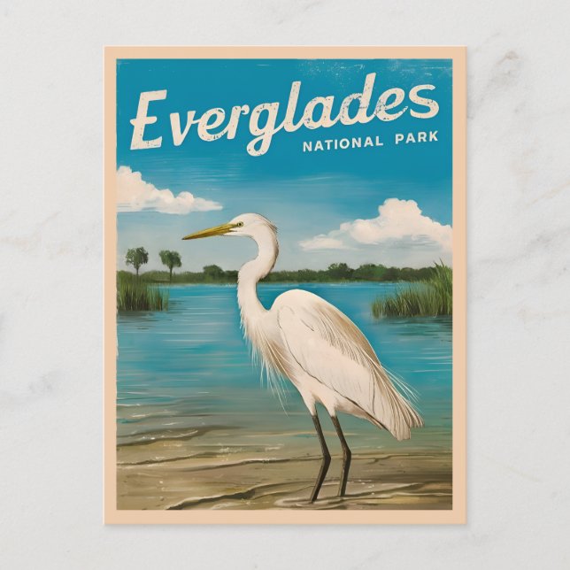 Vintage Travel Florida Everglades Nature Wildlife Postcard (Front)