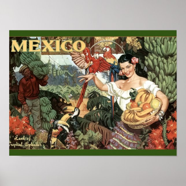 Vintage - Travel - Poster - Mexico - Tropical (Front)