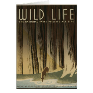 Vintage Travel Poster - Wildlife circa 1940