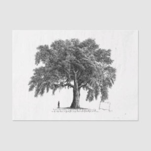 Vintage Tree Ephemera Decoupage Tissue Paper