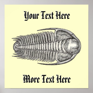 Vintage Trilobite Print