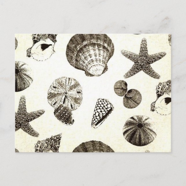 vintage tropical beach seashell wedding postcard (Front)