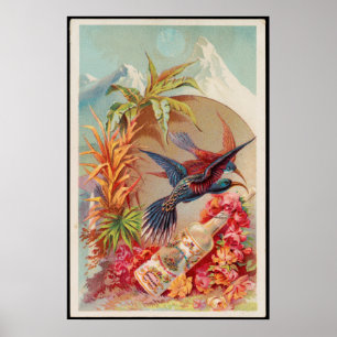Vintage Tropical Birds Florida Water Advertisement Poster