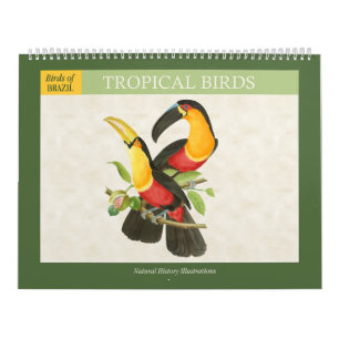 Vintage Tropical Birds Illustrations 2026 Calendar