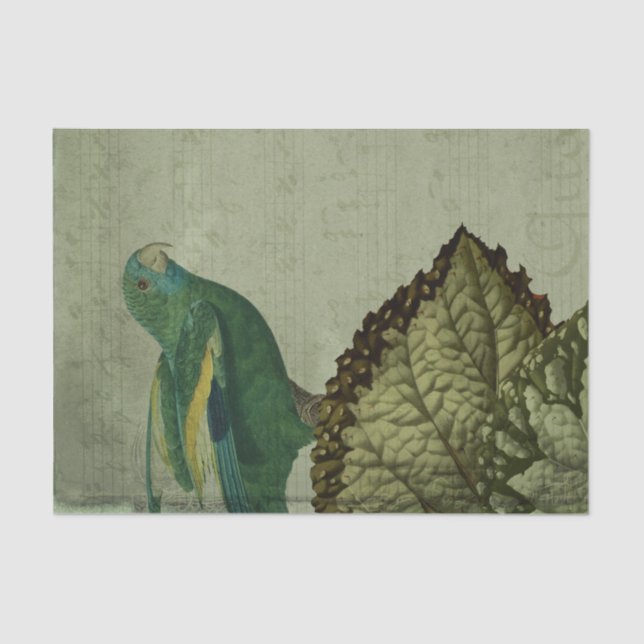 Vintage Tropical Green Parrot Tissue Paper (Front)