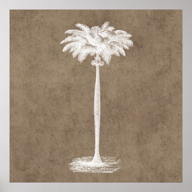 Vintage Tropical Island Palm Tree Template Blank Poster (Front)