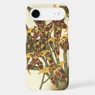 Vintage Tropical Odontoglossum Orchid Flowers