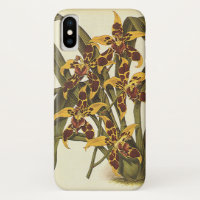 Vintage Tropical Odontoglossum Orchid Flowers
