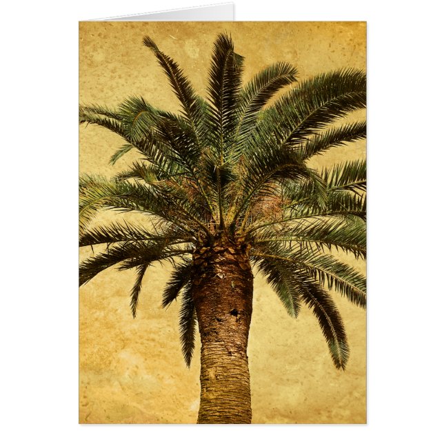 Vintage Tropical Palm Tree (Front)