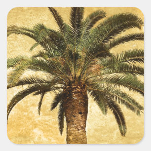 Vintage Tropical Palm Tree Square Sticker