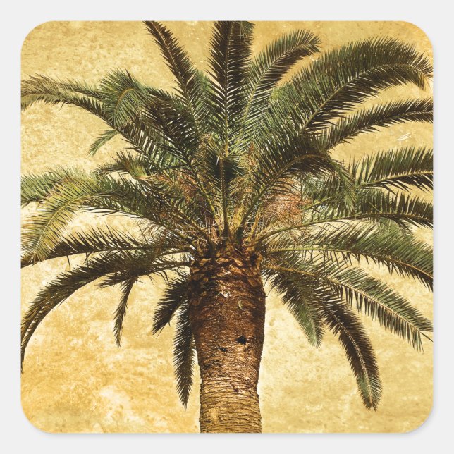 Vintage Tropical Palm Tree Square Sticker (Front)