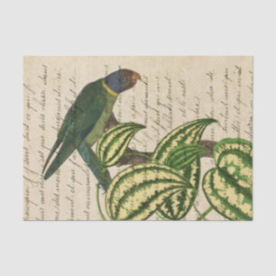 Vintage Tropical Parrot Tissue Paper