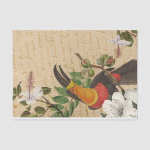 Vintage Tropical Toucan Tissue Paper
