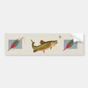 Vintage trout bumper sticker