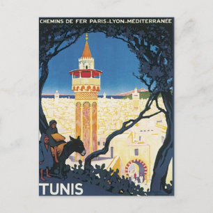 Vintage Tunis Africa Postcard