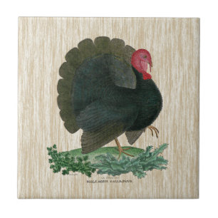 Vintage Turkey Ceramic Tile