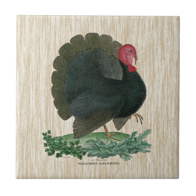 Vintage Turkey Ceramic Tile (Front)