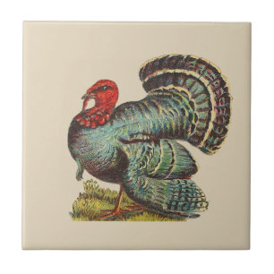 Vintage Turkey Ceramic Tile