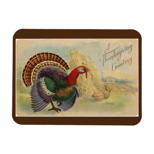 Vintage Turkey Magnet (Horizontal)
