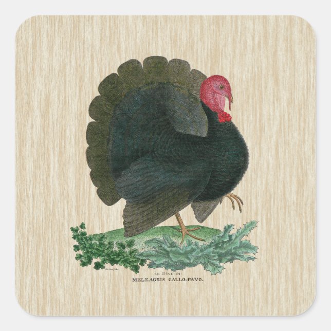 Vintage Turkey Square Sticker (Front)
