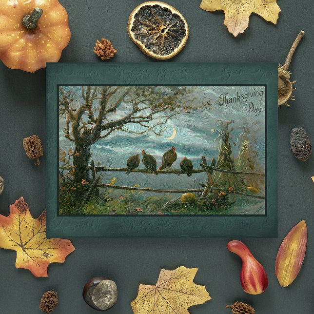 Vintage Turkeys on Fence in Moonlight Postcard (Creator Uploaded)