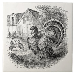 Vintage Turkeys - Personalised Barn Turkey Birds Ceramic Tile