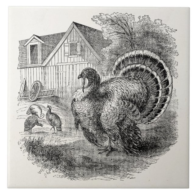 Vintage Turkeys - Personalised Barn Turkey Birds Ceramic Tile (Front)