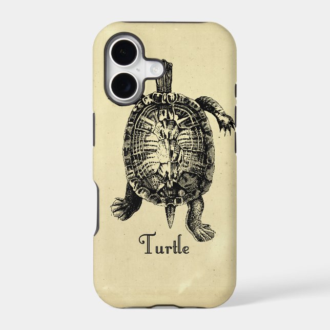 VINTAGE TURTLE (Back)