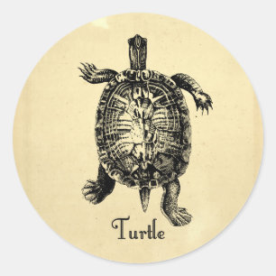 VINTAGE TURTLE CLASSIC ROUND STICKER