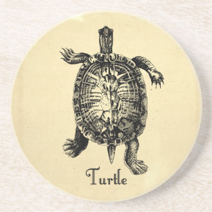 VINTAGE TURTLE COASTER
