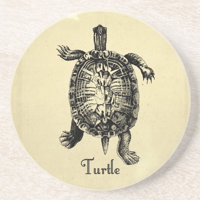 VINTAGE TURTLE COASTER (Front)
