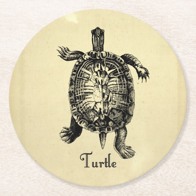 VINTAGE TURTLE ROUND PAPER COASTER (Front)