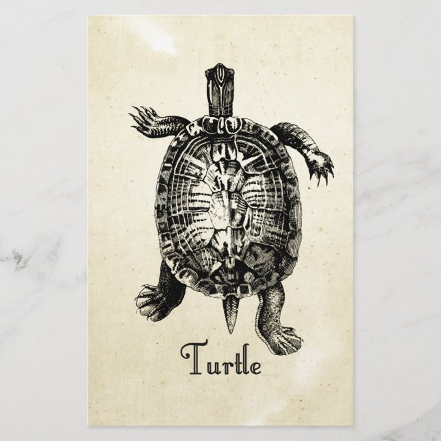 VINTAGE TURTLE STATIONERY (Front)