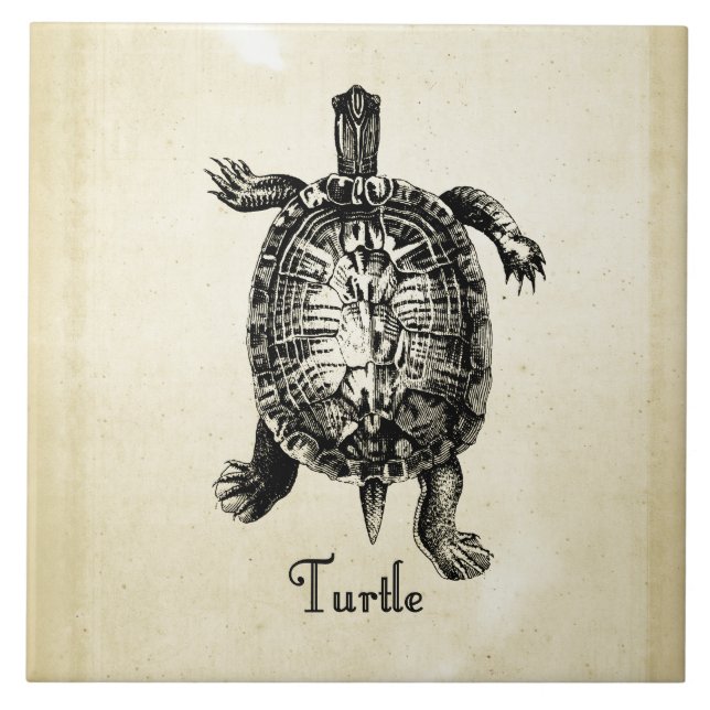 VINTAGE TURTLE TILE (Front)