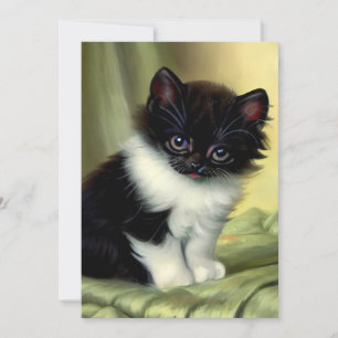 Vintage Tuxedo Kitten Illustration Invitation