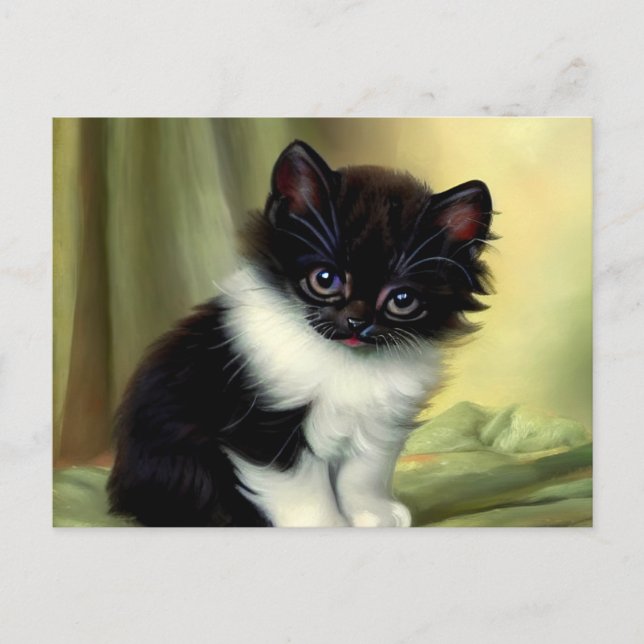 Vintage Tuxedo Kitten Illustration Postcard (Front)