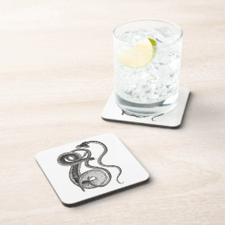 Vintage Two Headed Snake Curiosity Oddities Coaster