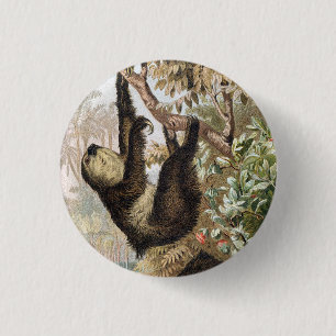 Vintage Two-Toed Sloth 1900 Book Illustration 3 Cm Round Badge