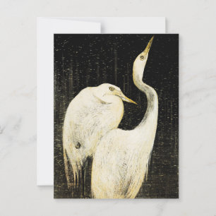 Vintage Two white egrets Illustration Postcard