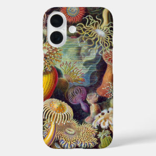 Vintage Underwater Sea Anemones by Ernst Haeckel iPhone 16 Case