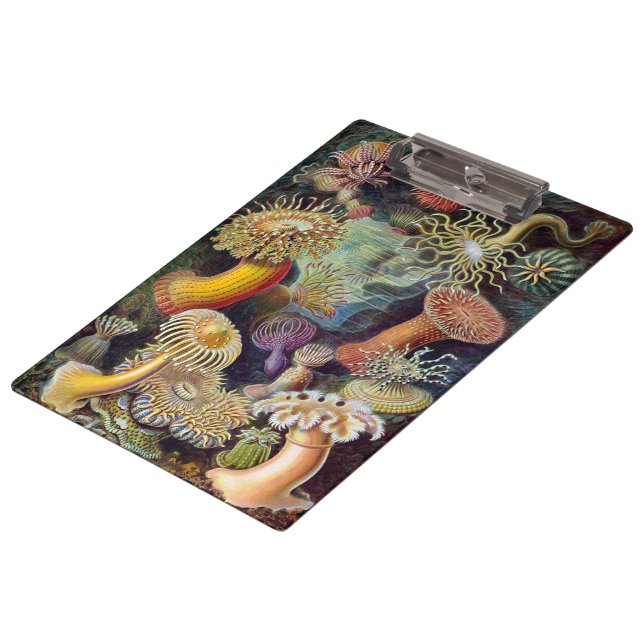 Vintage Underwater Sea Anemones by Ernst Haeckel Clipboard (Angled)