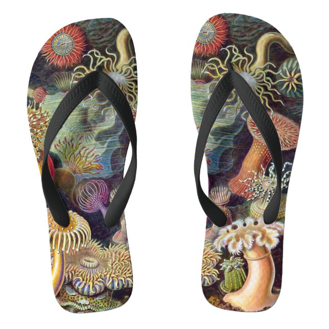 Vintage Underwater Sea Anemones by Ernst Haeckel Thongs (Footbed)
