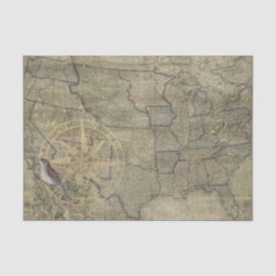 Vintage US Map Tissue Paper