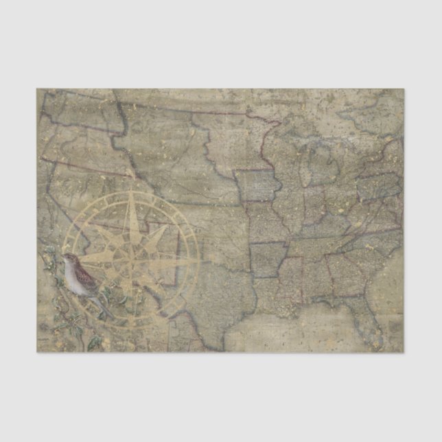 Vintage US Map Tissue Paper (Front)