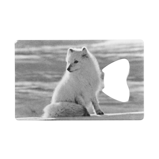 Vintage USA Alaska Arctic fox (Front (Horizontal))