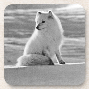 Vintage USA Alaska Arctic fox Coaster
