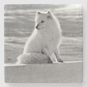 Vintage USA Alaska Arctic fox Stone Coaster