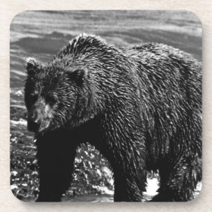 Vintage USA Alaska brown bear Coaster