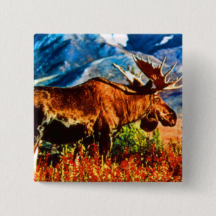 Vintage USA Alaska bull moose 15 Cm Square Badge